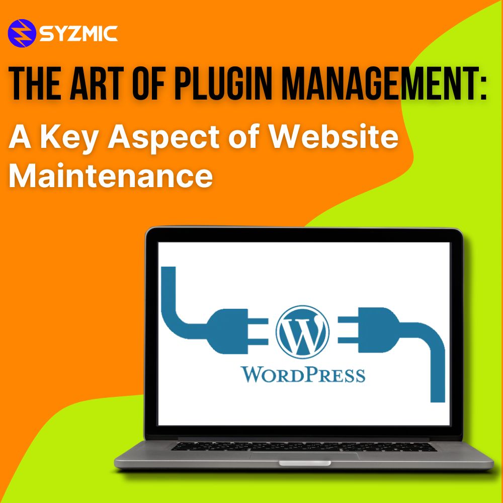 The Art of Plugin Management: A Key Aspect of Website Maintenance